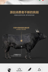 European Style Double Bed Modern Storage Loft Multifunctional King Double Bed Full Size Floor Cama Inteligente Bedroom Furniture